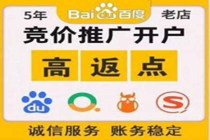 SEM竞价入门指南，经典案例分享